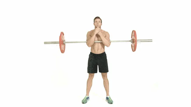 Squat là gì ? Hướng dẫn tập squat đúng cách nhất