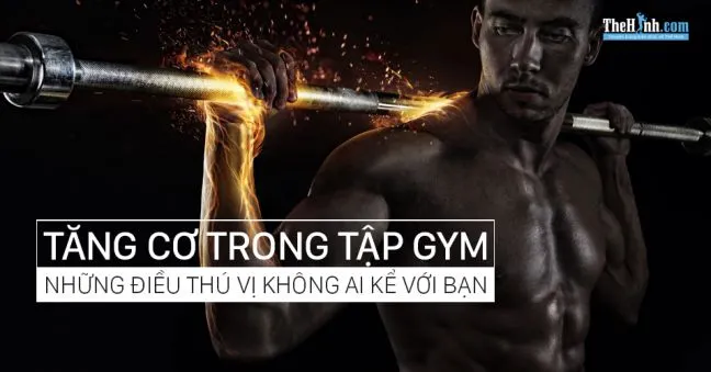 Tăng cơ là gì ? Hiểu rõ hơn về chuyện tăng cơ trong tập gym