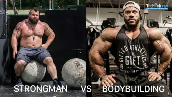 Tăng cơ là gì ? Hiểu rõ hơn về chuyện tăng cơ trong tập gym