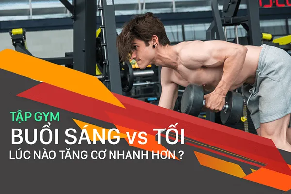 Tập gym buổi sáng hay buổi chiều tốt hơn để tăng cơ bắp ?