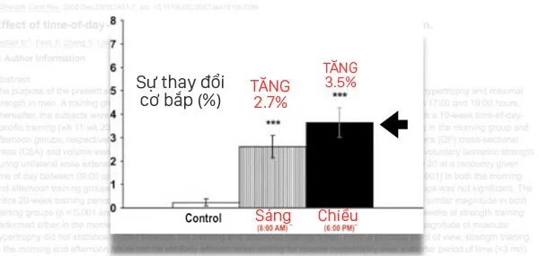 Tập gym buổi sáng hay buổi chiều tốt hơn để tăng cơ bắp ?