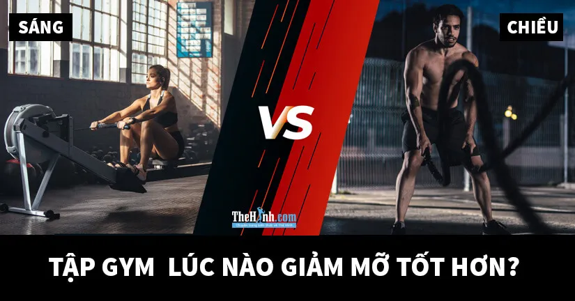 Tập gym để giảm mỡ thì nên tập sáng hay chiều sẽ tốt hơn, khoa học đã trả lời