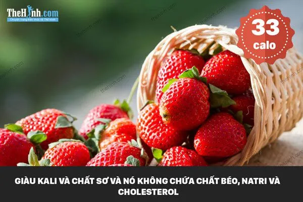 Top 20 thức ăn không sợ tăng cân để bạn ăn thoải mái