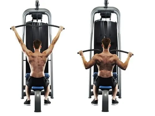 Top 6 bài tập lưng xô hiệu quả hàng đầu cho các gymer!