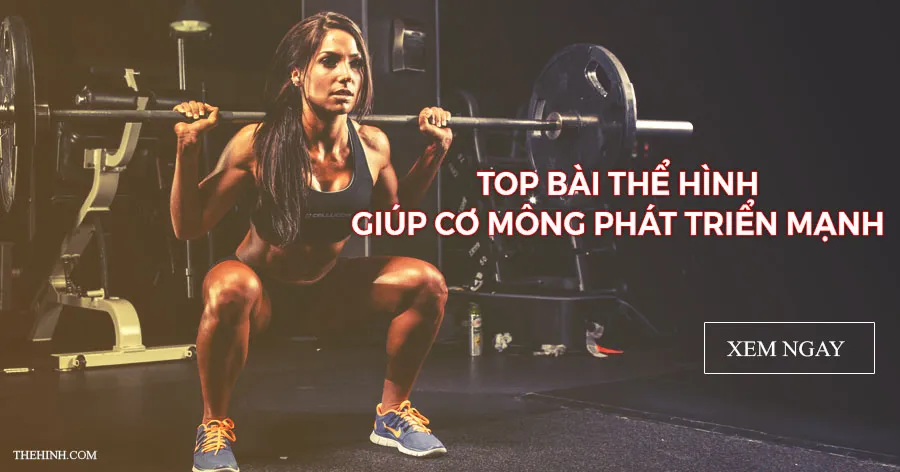 Top các bài tập mông cho nữ để vòng 3 to hơn và săn chắc hơn