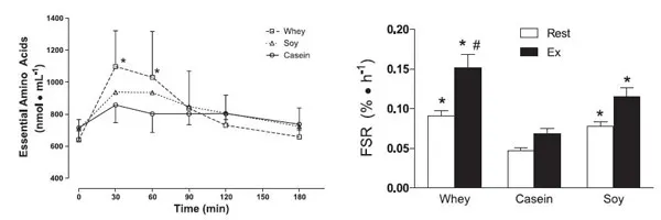 Whey Hydrolyzed có giúp bạn hấp thụ nhanh hơn không?