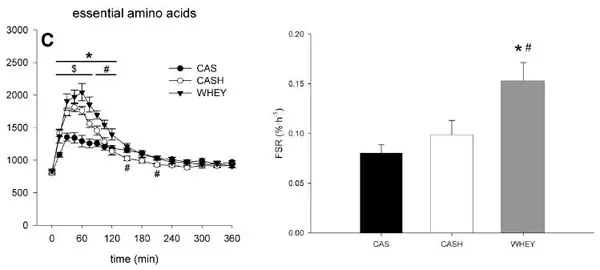 Whey Hydrolyzed có giúp bạn hấp thụ nhanh hơn không?