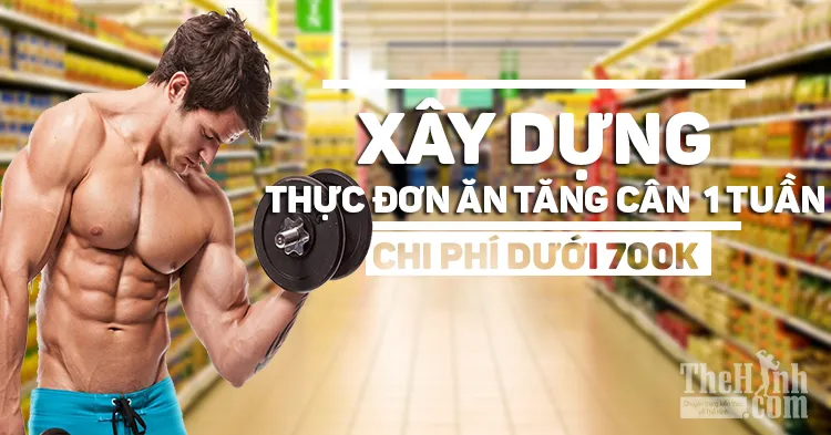 Xây dựng chiến lược ăn tăng cân tăng cơ chi phí dưới 700k/tuần