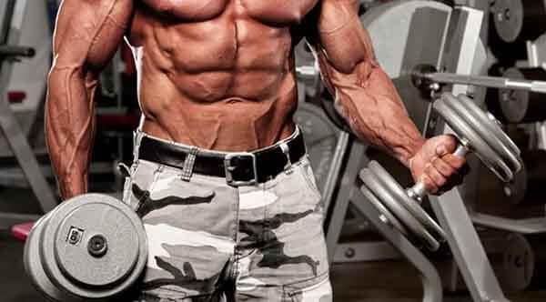 10 cách tăng cơ hiệu quả dành cho người mới tập gym