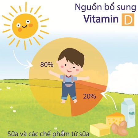 15 Lợi ích của việc bổ sung vitamin D khiến Gymer không thể bỏ qua !