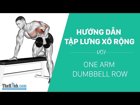 20 phút tập săn chắc, giảm mỡ toàn thân chỉ bằng một cặp tạ đơn