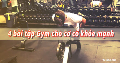 4 Bài tập gym dành riêng cho cơ cổ (Neck) to khỏe