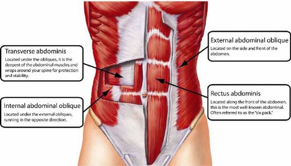 4 bộ bài tập bụng giúp làm khỏe vùng core (lõi) của cơ thể