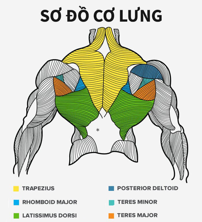 4 Giáo án tập lưng cho nữ: Giúp lưng thon gọn như bạn muốn