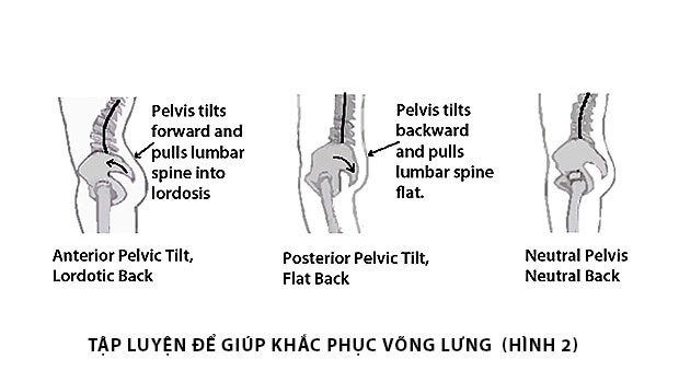 5 bài tập cơ lõi team ngồi nhiều nhất định phải tập, ở nhà cũng tập được