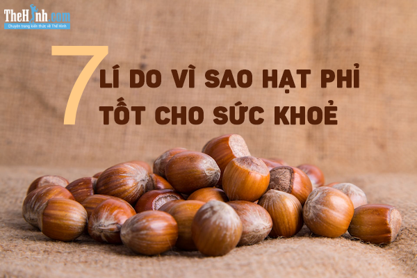 7 Lợi Ích Tuyệt Vời Của Hạt Phỉ Bạn Không Thể Bỏ Qua