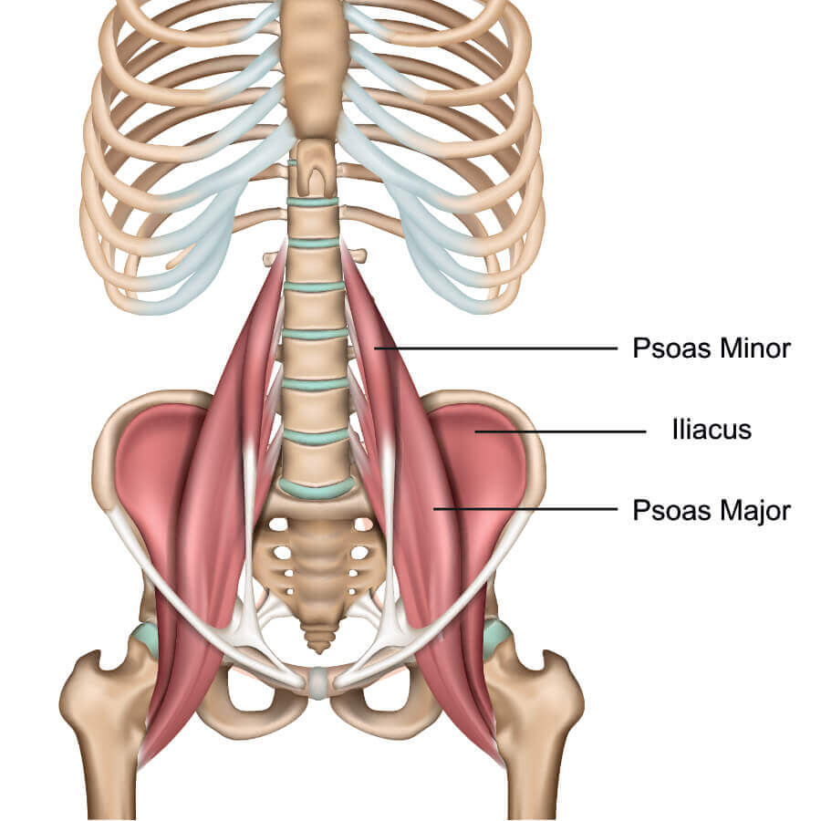 8 bài giãn cơ Psoas, giúp giảm đau lưng do ngồi nhiều