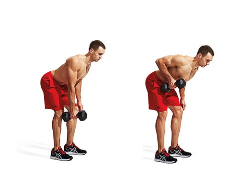 Bài tập thể dục giảm mỡ toàn thân cho nam và nữ với tạ Dumbbell