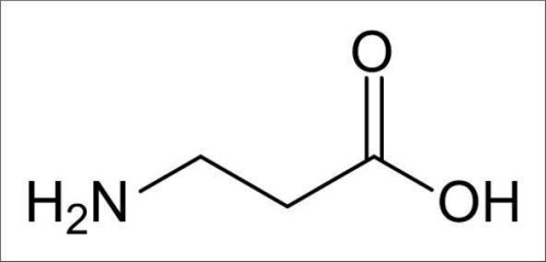 Beta Alanine là gì ? Cách tập gym sung hơn, tăng sức chịu đựng hơn