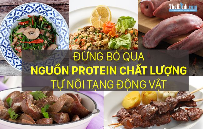 Bổ sung protein từ nội tạng động vật, nguồn protein chất lượng không nên bỏ qua!