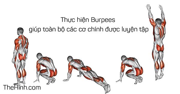 Burpees – Bài tập Cardio giảm mỡ toàn thân tốt nhất bạn nên biết