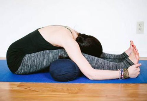 Các bài tập Yoga trị đau lưng cho dân văn phòng hiệu quả (P2)