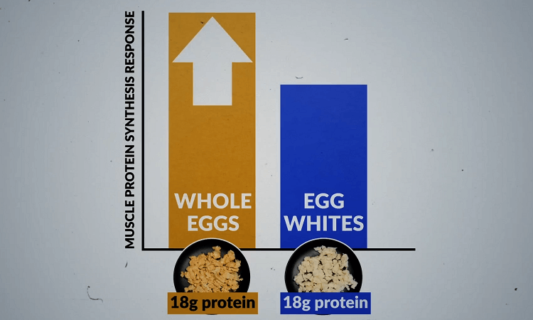 Cách bổ sung Protein để tăng cơ theo nghiên cứu mới nhất