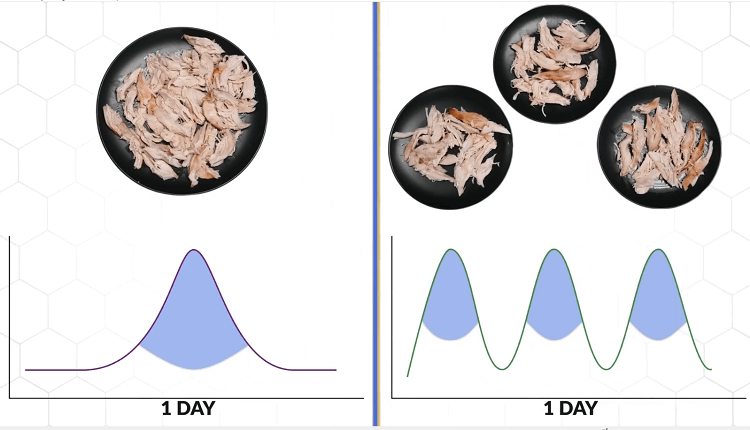 Cách bổ sung Protein để tăng cơ theo nghiên cứu mới nhất