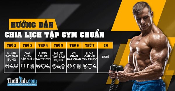 Cách chia lịch tập gym, thể hình cho Gymer mới đi tập