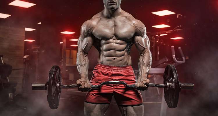 Cách điều chỉnh lượng Calo và Macro khi tập gym để giảm cân tốt nhất