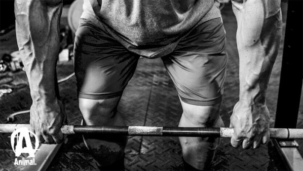 Cách tập Deadlift an toàn nhất và phát huy sức mạnh tối đa nhất