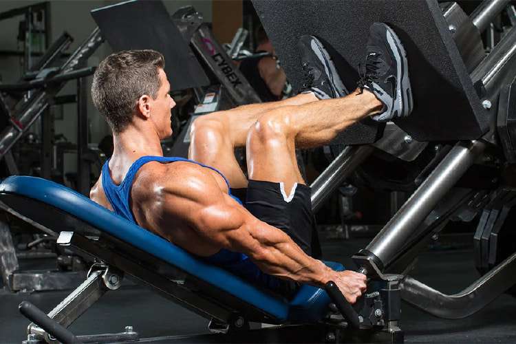 Cách tập Leg Press đúng kỹ thuật để chân phát triển toàn diện