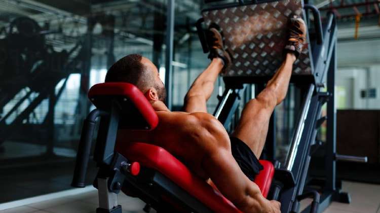 Cách tập Leg Press đúng kỹ thuật để chân phát triển toàn diện