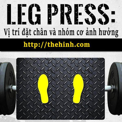 Cách tập Leg Press đúng kỹ thuật để chân phát triển toàn diện