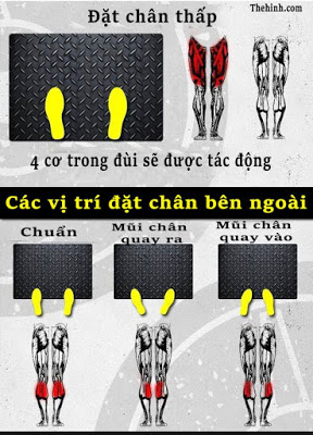 Cách tập Leg Press đúng kỹ thuật để chân phát triển toàn diện