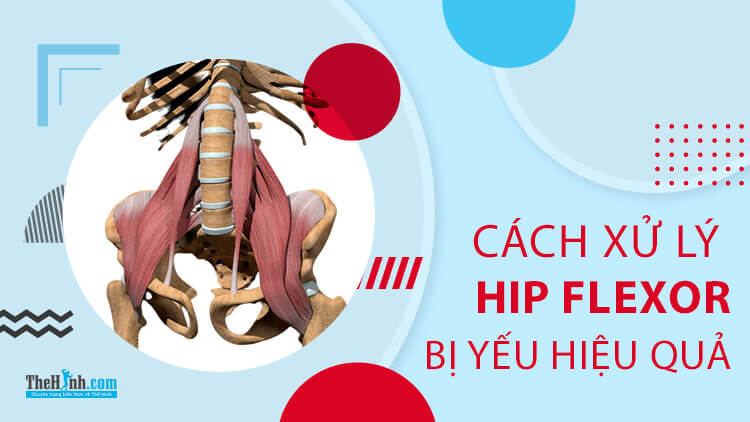 Cách xử lý cơ Hip Flexor yếu để tránh chấn thương qua 5 bài tập đơn giản