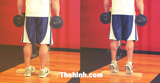 Cầm tạ nhón gót tập bắp chân to ra với Standing Dumbbell Calf Raise