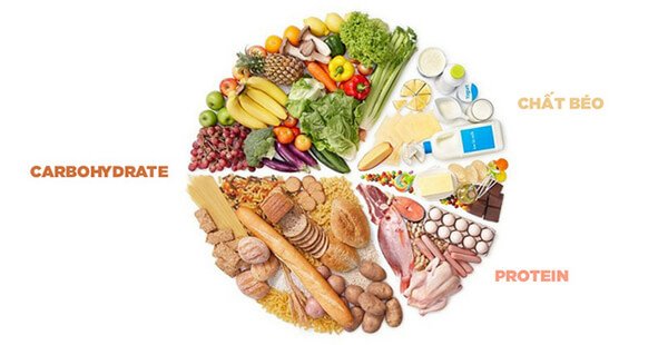 Carbohydrate là gì ? Cơ bản nhưng không phải ai cũng hiểu rõ