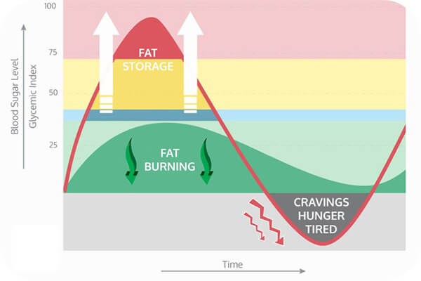 Carbohydrate là gì ? Cơ bản nhưng không phải ai cũng hiểu rõ