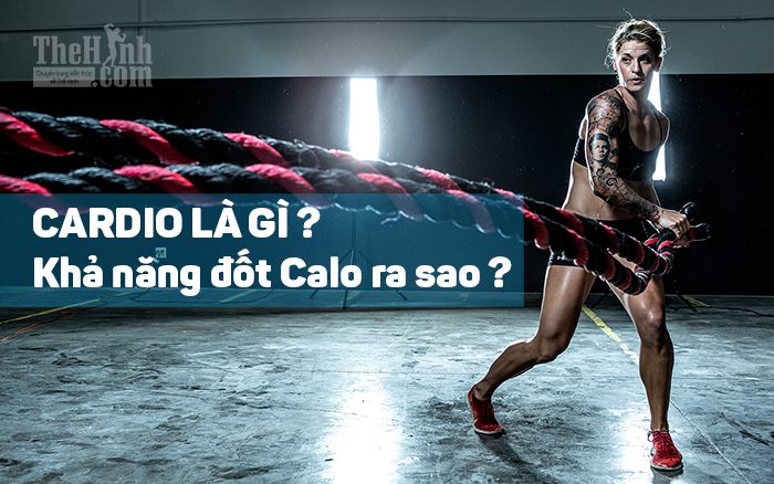 Cardio là gì ? 100+ bài tập Cardio giúp giảm nhanh vài ký/tháng dễ dàng