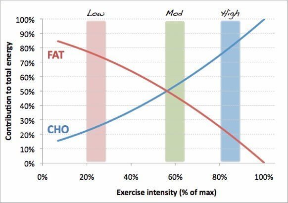 Chế độ ăn kiêng Low Carb hoặc Keto có làm giảm hiệu suất tập luyện không ?