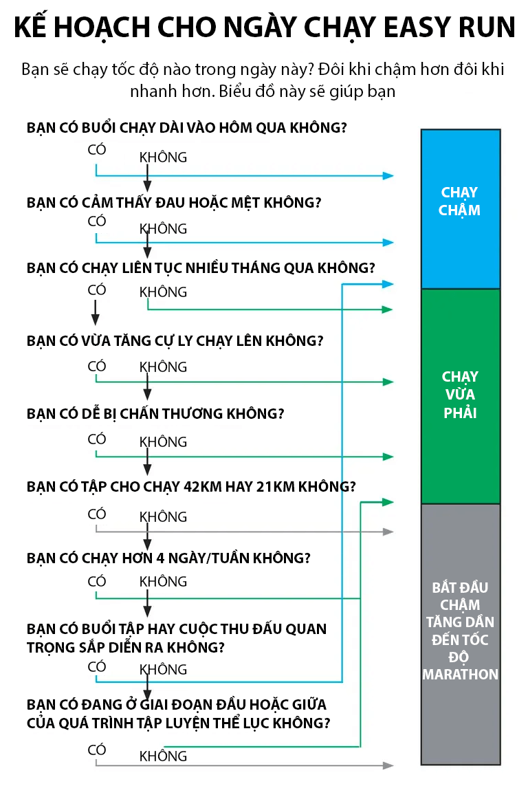 Easy Run là gì? Cách thực hiện Easy Run đúng chuẩn