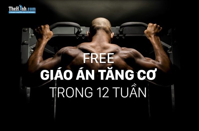 [Free] Lịch tập gym tăng cơ bắp trong 12 tuần trị giá 99,95$