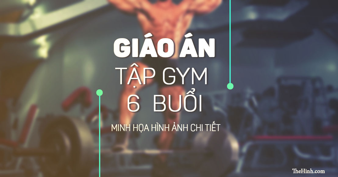 Giáo án tập Gym 6 buổi 1 tuần cho nam chi tiết nhất