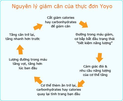 Hiệu ứng Yoyo – Giảm cân nhanh và sau đó tăng cân lại chóng mặt