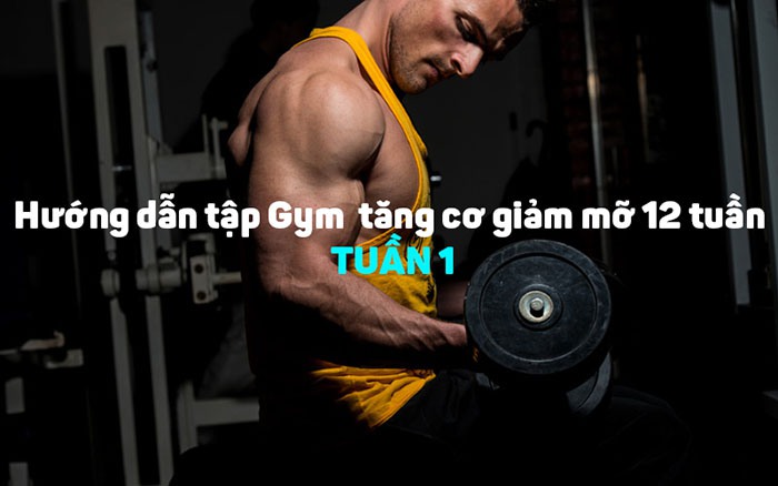 Hướng dẫn tập gym đúng cách trong 12 tuần – Tuần 1