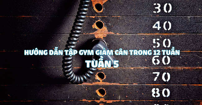 Hướng dẫn tập gym giảm cân hiệu quả trong 12 tuần – Tuần 5