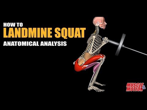 Hướng dẫn tập Landmine Squat chuẩn form để đạt nhiều lợi ích nhất