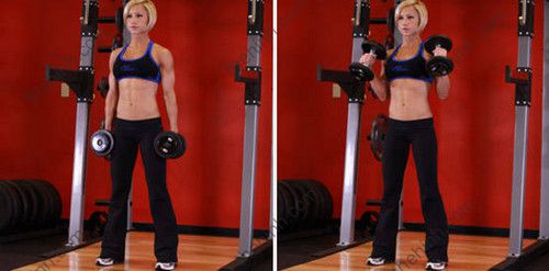 Hướng dẫn tập lưng, tay trước cho nữ hiệu quả cùng Jamie Eason