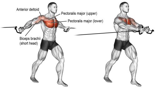 Hướng dẫn tập ngực cho nam tăng cơ tối đa bằng Superset cùng Stephen Mass